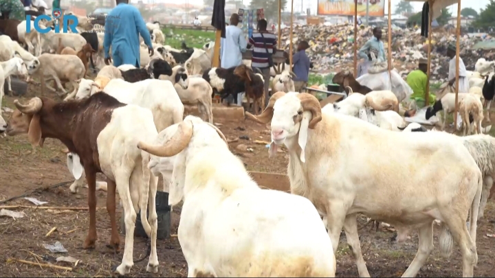Eid-el-Kabir: Abuja ram sellers blame insecurity, transport costs for price surge