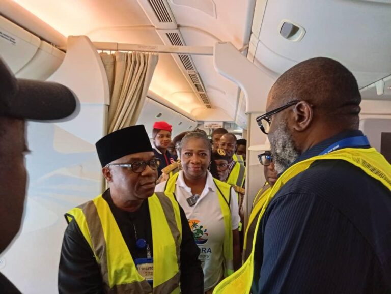 Xenophobic attacks: 258 Nigerians evacuated from South Africa