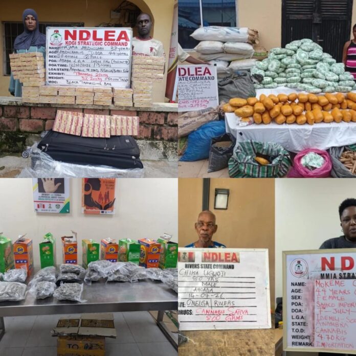 NDLEA intercepts 1.6m tramadol pills in Lagos, arrests 80-year-old grandpa, others