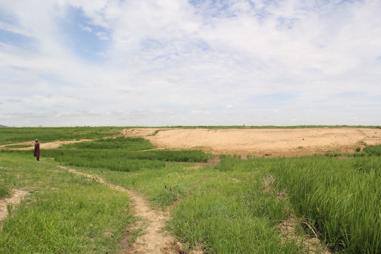Sections of farmland in Tondi, Yauri Local Government Area of Kebbi State, where residents say areas once submerged by channels linked to Lake Kainji have dried up, leaving abandoned fields and exposed land.