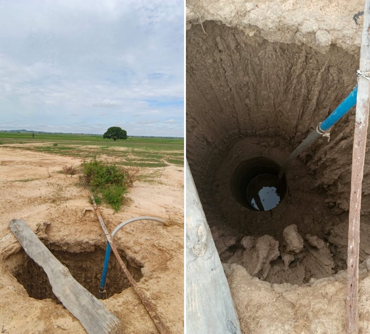 The well from which Idris Abdullahi pumps water to irrigate his rice farm in the distance. He says it now takes three lengths of pipe to reach the farm, yet the water remains insufficient, leaving many rice heads without grain.