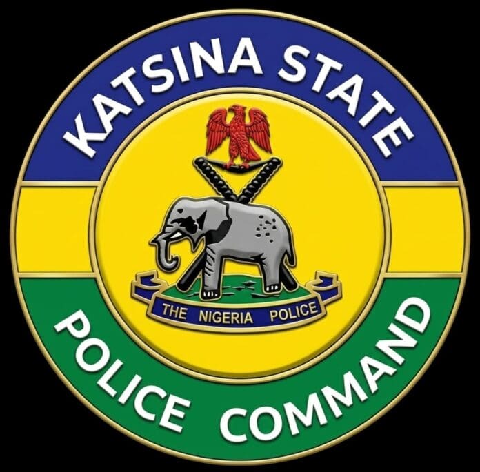 Katsina: 154 students hospitalised after drug reaction discharged - Police